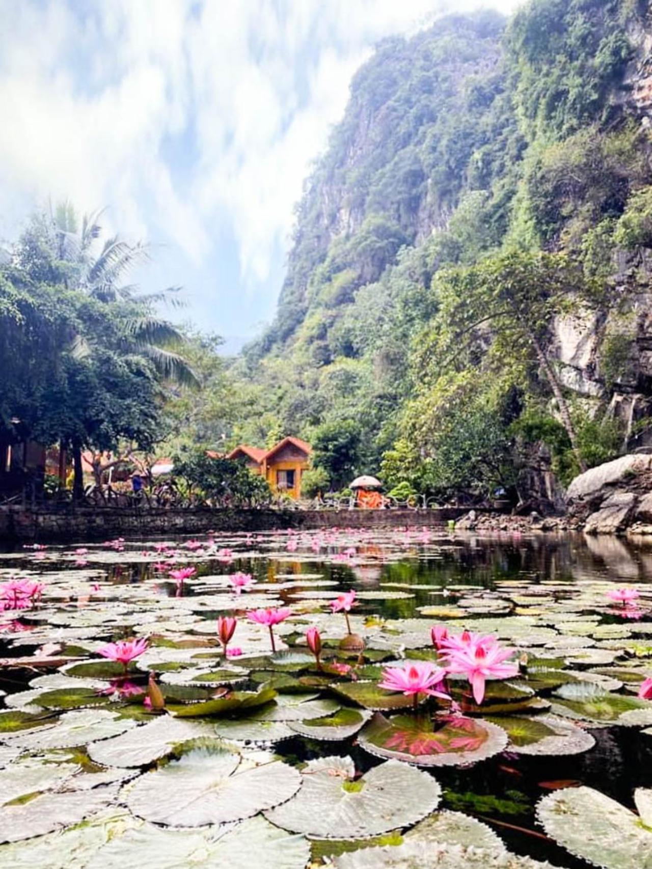 Tam Coc Rocky Bungalow Ninh Binh Exteriér fotografie